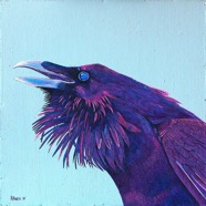 powell_purple_raven